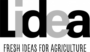 Logo-LIDEA